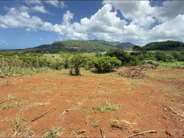 Agricultural Land