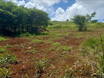 Agricultural Land