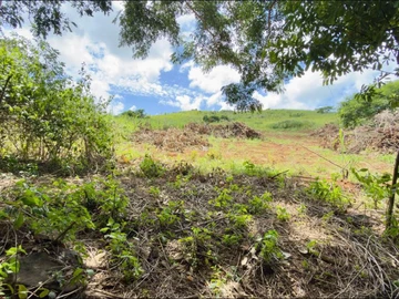 Agricultural Land