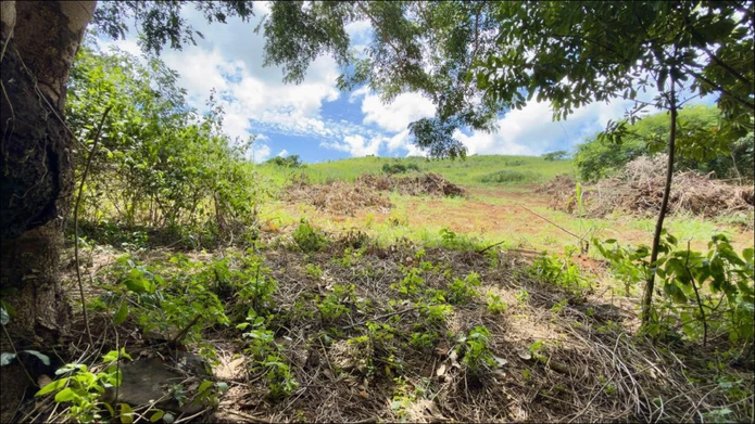 Agricultural Land for Sale in Baie du Cap – Morcellement Fleur de Cannes
