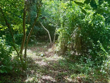 Agricultural Land