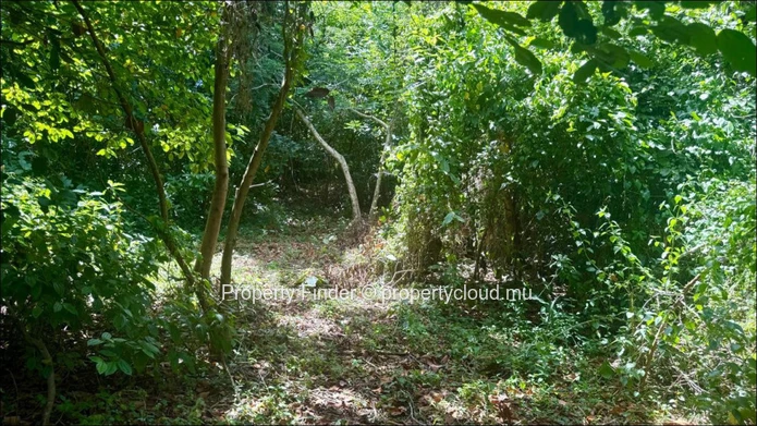 Agricultural Land for Sale in Baie du Cap – Morcellement Fleur de Cannes