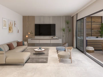 3 Bedroom Penthouse